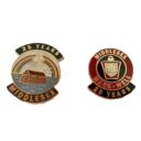 25-Year Service Lapel Pins